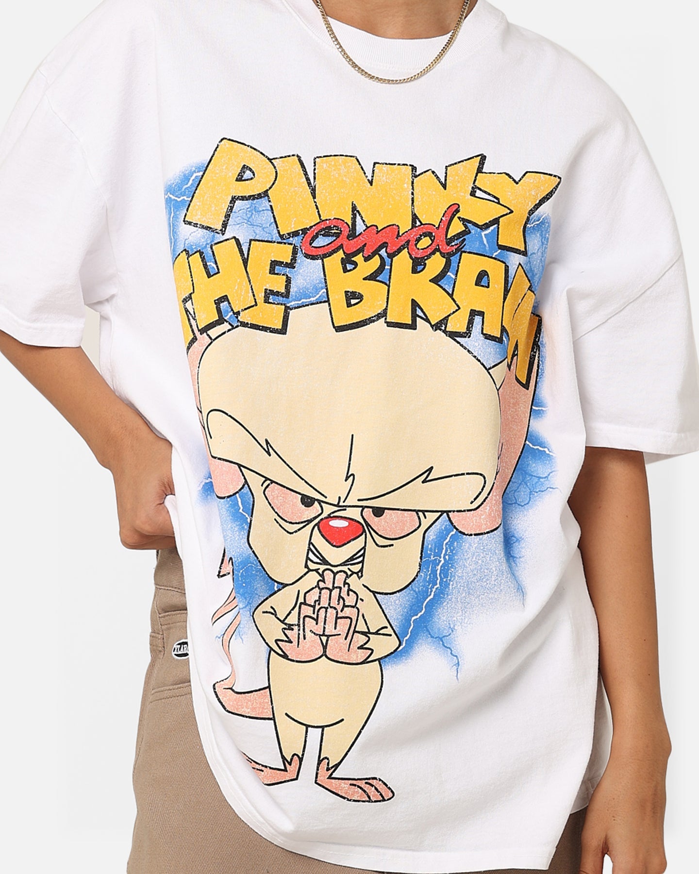 American Thrift X Cartoon Network Pinky & The Brain Heavyweight Vintage T-Shirt White Style001