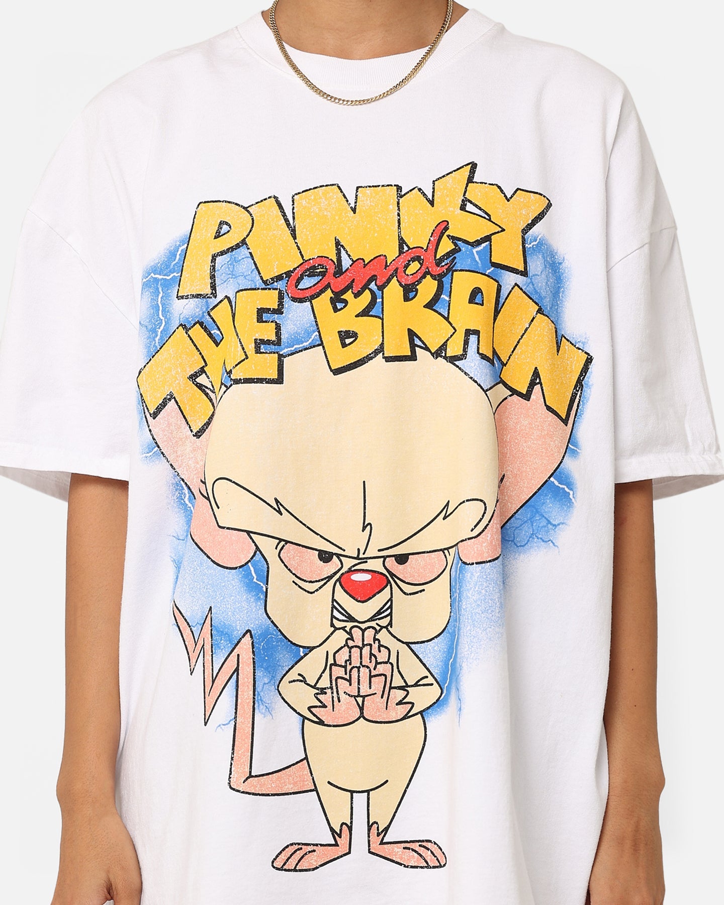 American Thrift X Cartoon Network Pinky & The Brain Heavyweight Vintage T-Shirt White Style001