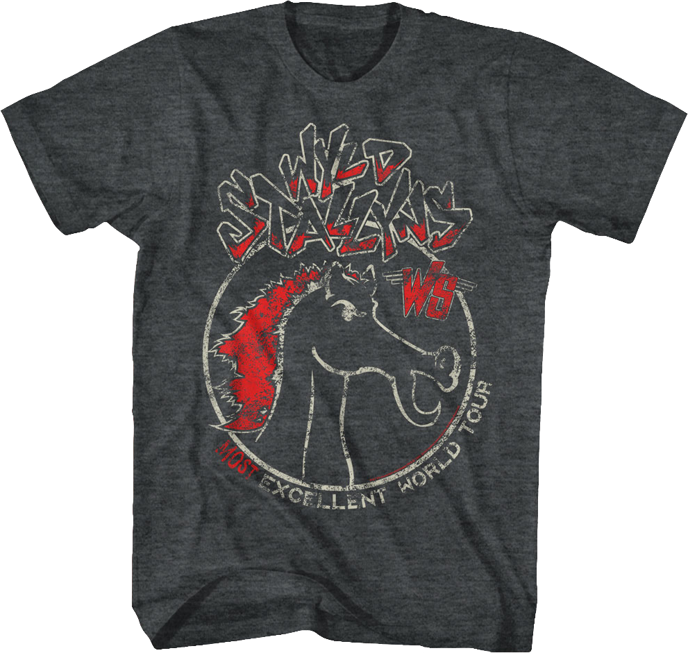 Wyld Stallyns Most Excellent World Tour Bill and Ted T-Shirt