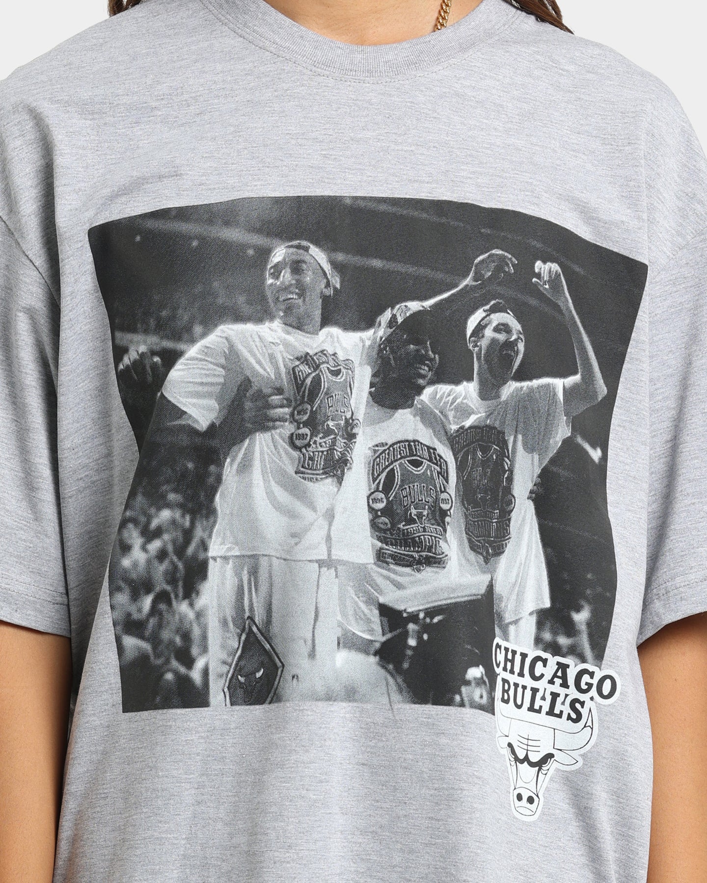 Mitchell & Ness Chicago Bulls Rodman Basketball Photo T-Shirt Grey Marle Style001