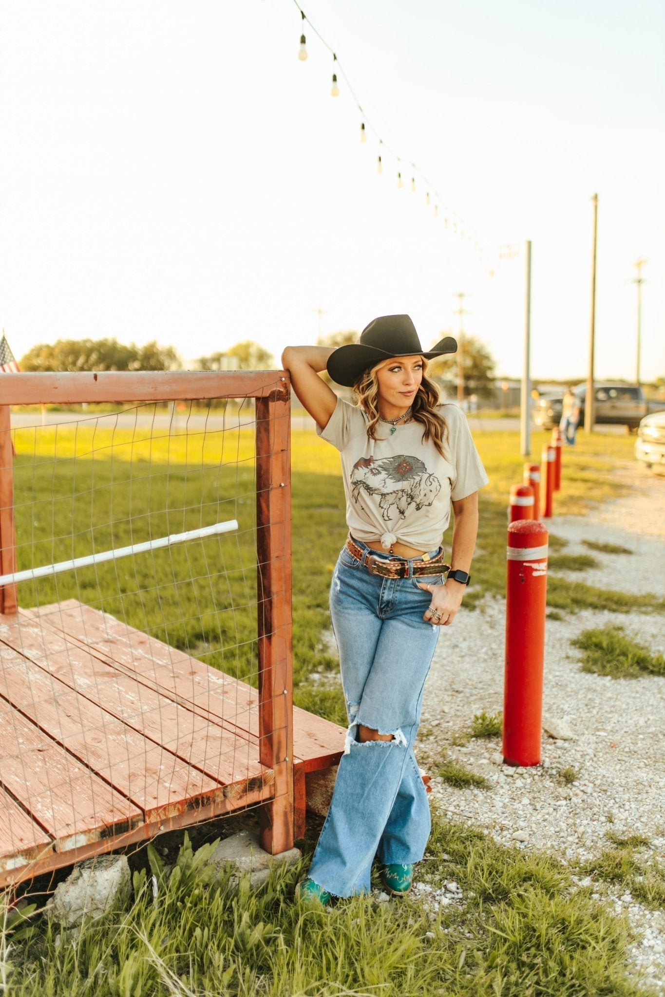 Aztec Bison Graphic Tee Shirt