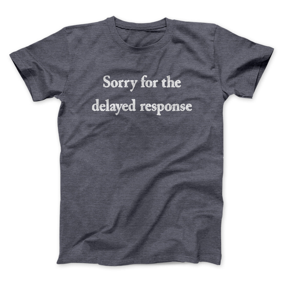 Sorry For The Delayed Response Funny Men/Unisex T-Shirt